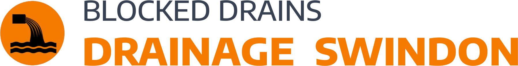website logo